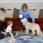 Stylish family room with baby, mum, grandma and dog playing on a Totter + Tumble playmat - a family-friendly interior item.