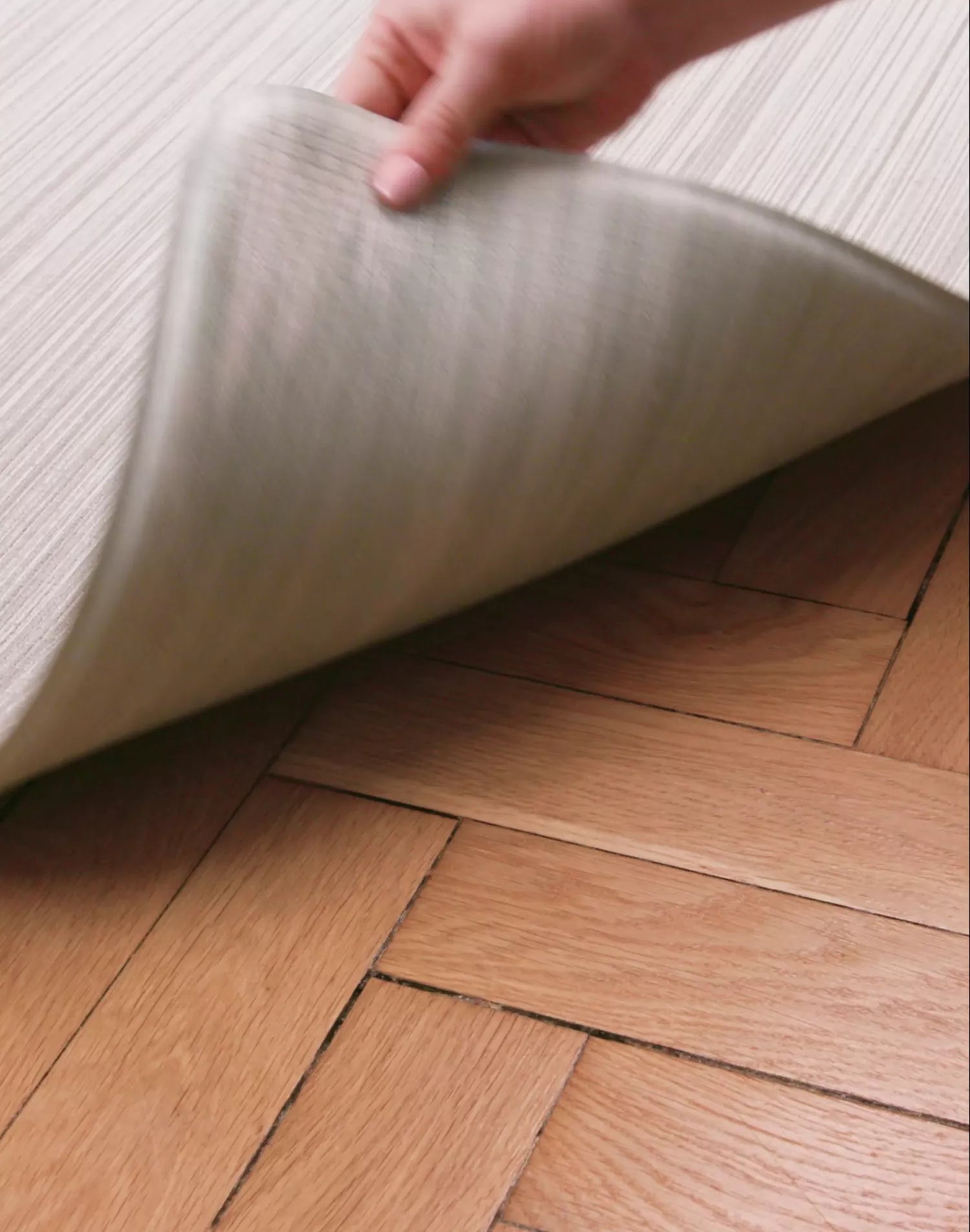 videowise-widget-66e459fd944f6200340e98db-8595892502864